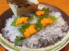 -月龍吟(朝龙汇店)