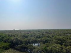 -北海金海湾红树林生态旅游区