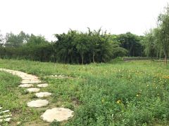 -白鹭湾湿地公园