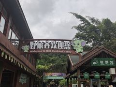 -野象谷景区