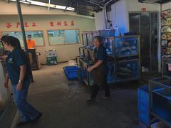 -八仔大富楼·河鲜(西江店)