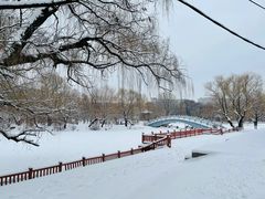 -二一九公园