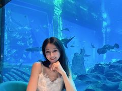 -亚特兰蒂斯•OSSIANO奥西亚诺海底餐厅