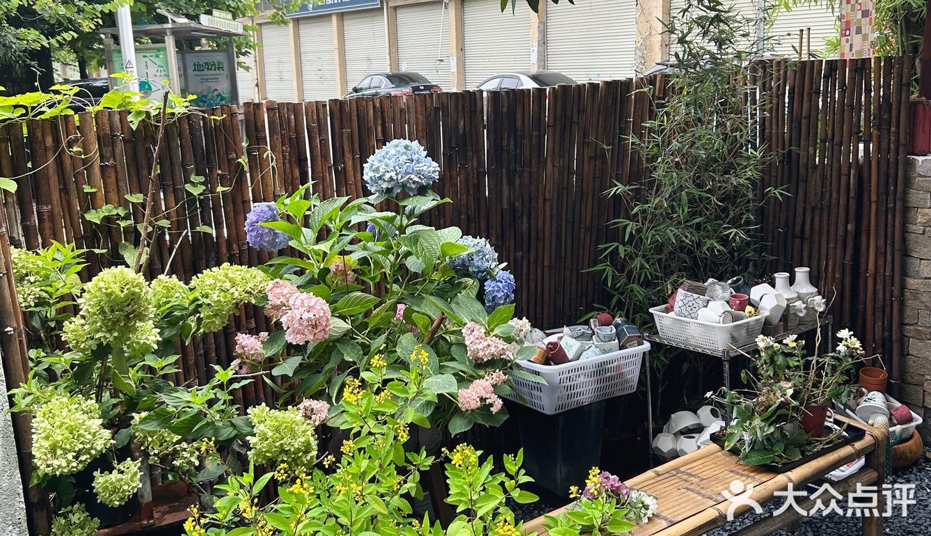 在花都，发现了日本的夏天🎐