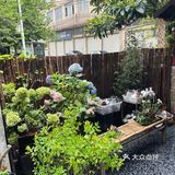 在花都，发现了日本的夏天🎐