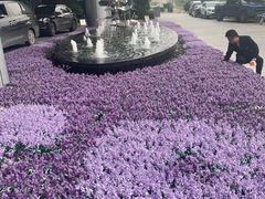 -济南绿地美利亚酒店