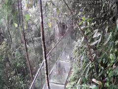 -九龙江国家森林公园