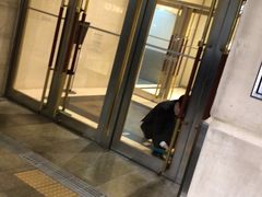 -乐天免税店(明洞店)