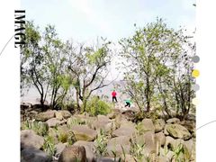 -上海吴淞炮台湾国家湿地公园