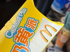 -麦当劳(高铁南站店)