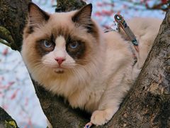 -食膳公园包子铺(烈士公园店)