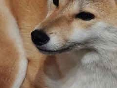 -About Bistro關於·泰式家庭料理