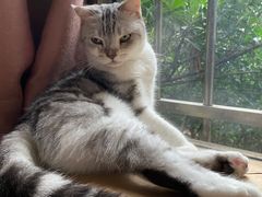 -彩虹桥宠物火化殡葬善终服务(金乐大厦店)