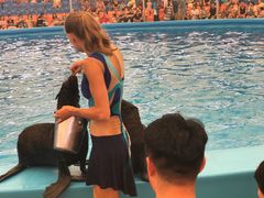 -尼莫海豚馆
