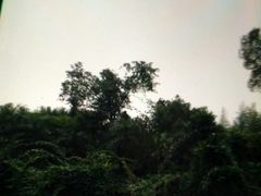 -鱼凫国都大酒店温泉