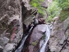 -云岫谷游猎自然风景区