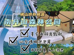 -南丹山森林王国