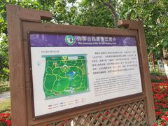 -御林古桑园