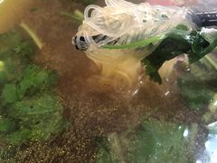 -胡记锅贴·沪上游子老鸭粉丝汤(太原路店)