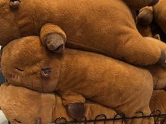 -BIGOFFS 超级折扣(仁恒伊势丹店)