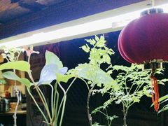 -望京一号·重庆江湖菜(工体店)