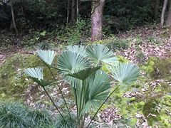 -灵栖洞天