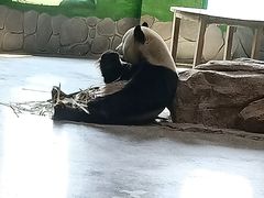 -临沂动植物园