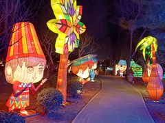 -南宫五洲植物乐园