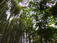 -汇龙潭