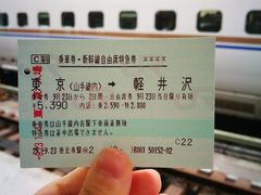 -轻井泽王子购物广场
