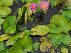 -三亚南山文化旅游区