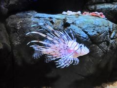 -成都浩海立方海洋公园