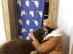 -猫色咖啡·猫咖