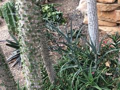 -北京植物园-展览温室