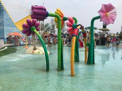 -秦皇岛乐岛海洋王国