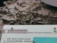 -自贡恐龙博物馆