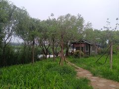 -绿堤公园