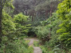 -铁山坪森林公园