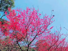 -世间香境·七溪地