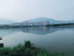 -飞来湖湿地公园