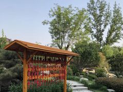 -思念果岭悦温泉