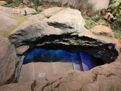 -北京周口店北京人遗址博物馆