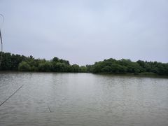 -杏花村文化旅游区