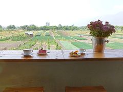 -翠田Green Field Kitchen