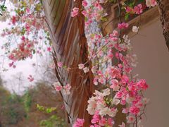 -深圳国际园林花卉博览园