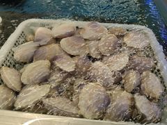-盒马X会员店(上海森兰商都店)