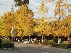 -四川大学(望江校区)