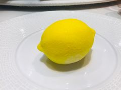 -诺莱仕游艇会