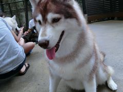 -TrueLove @ Neverland (Husky Cafe)