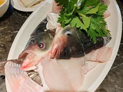 -大鱼山房鱼头火锅(老字号品质店)